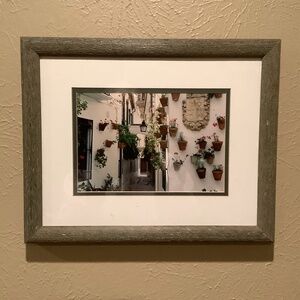 Framed photograph of Flowering pots